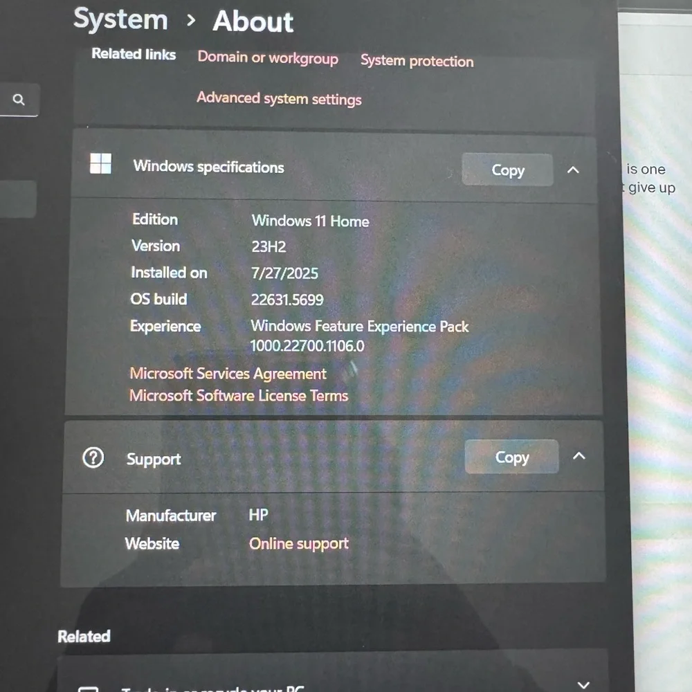 HP Gray Laptop